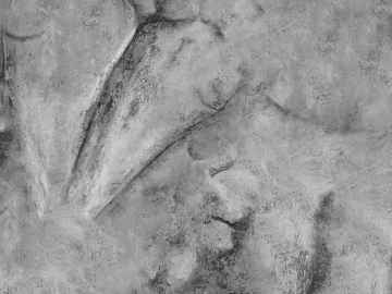 Rock Grey Rock texture (ID:ffaag03166)