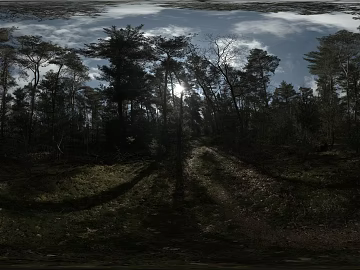 Outdoor Forest Sunny Day Day HDR texture (ID:ffach426156)