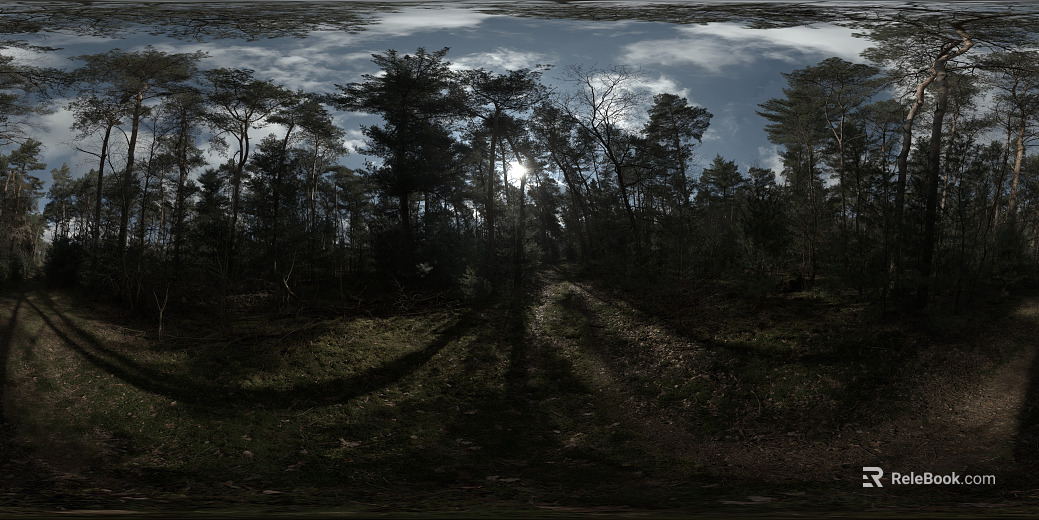 Outdoor Forest Sunny Day Day HDR texture