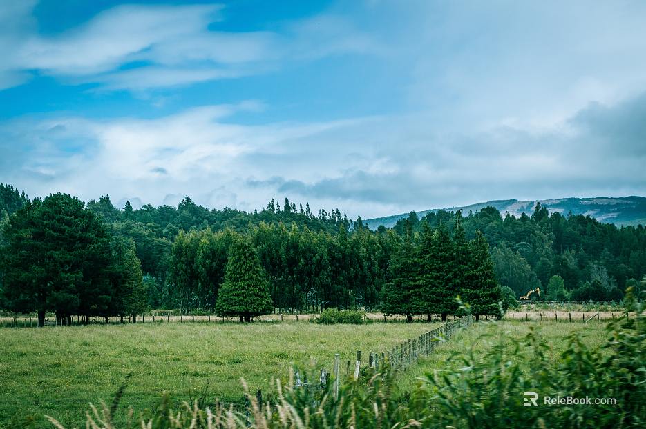 oozing oxygen green mist qingyun flocculant white pastoral poetics daytime outdoor forest location texture