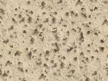 Beach Beach texture (ID:ffaaf8820)