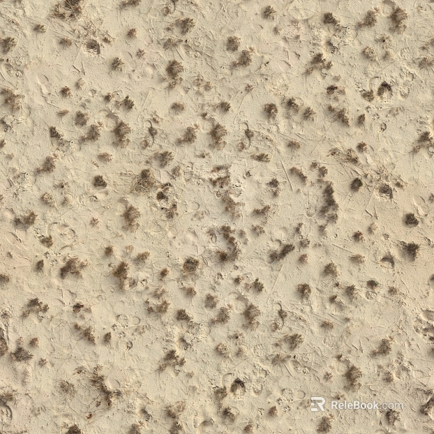 Beach Beach texture