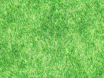 Turf texture (ID:ffaeg88317)