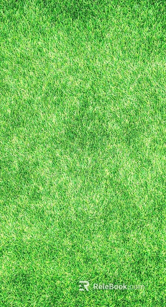 Turf texture