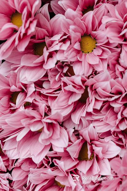 Flowers texture