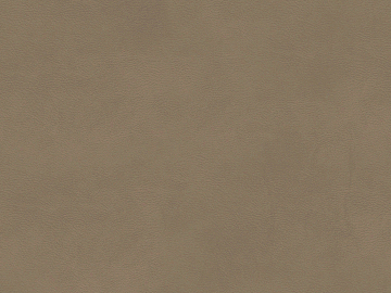 fine grain leather texture (ID:ffagg29967)