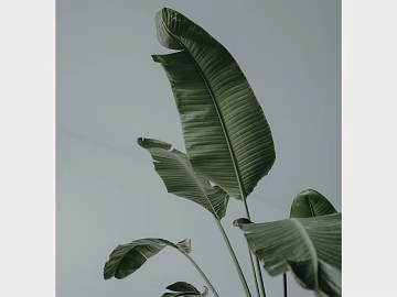 Plant painting texture (ID:ffabg73163)