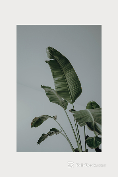 Plant painting texture