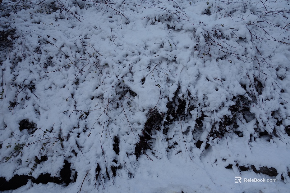 Snow texture