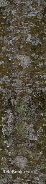 Brown green with moss bark wall decoration texture