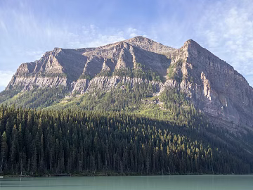 Wild Scenery texture (ID:ffagg21438)