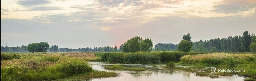 Wild Scenery texture