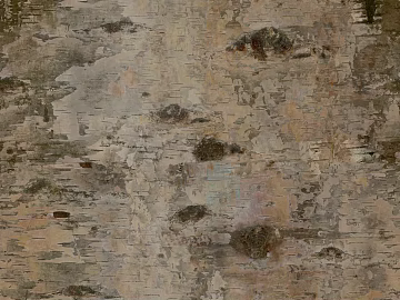 bark 3d model