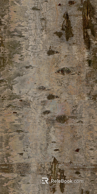 bark texture