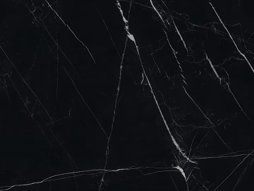 Marco Polo Mesh Marble Black and White Root Marble Floor Tile texture (ID:ffabg16644)