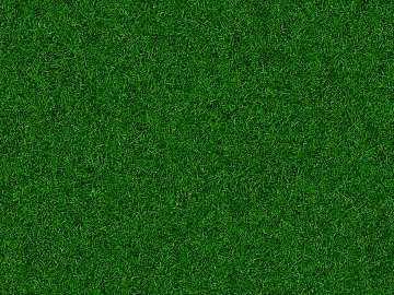 Turf texture (ID:ffabg22308)