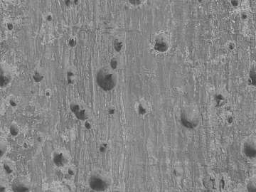 bark texture (ID:ffacg51245)