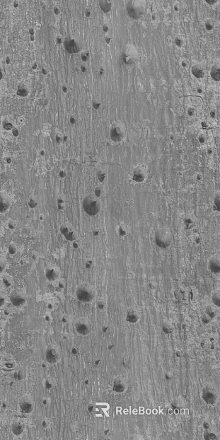 bark texture