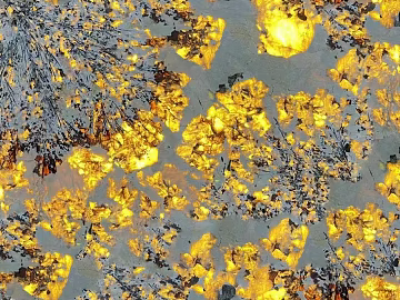 Fire tree silver flower transparent stone rock plate texture (ID:ffach765003)