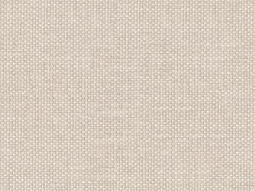 plain cloth 3d model