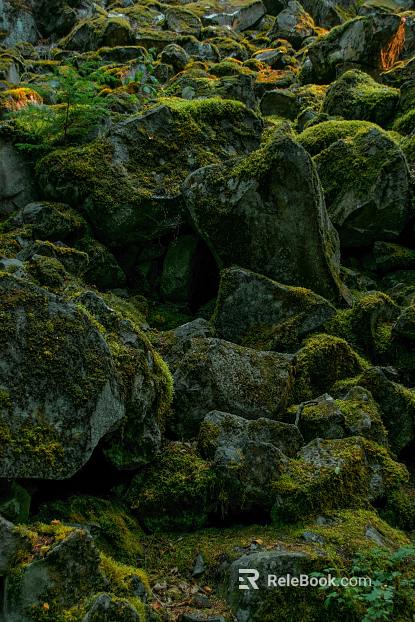 Rock texture