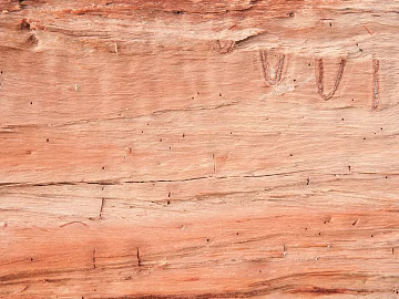 old wood texture (ID:ffabg63727)