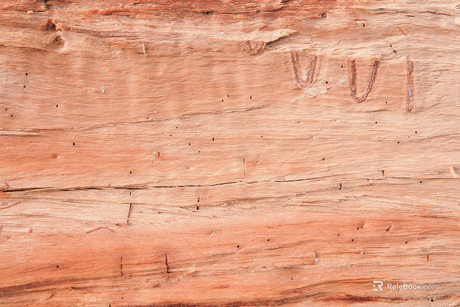 old wood texture