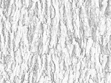 Black and White Bump texture (ID:ffach730514)