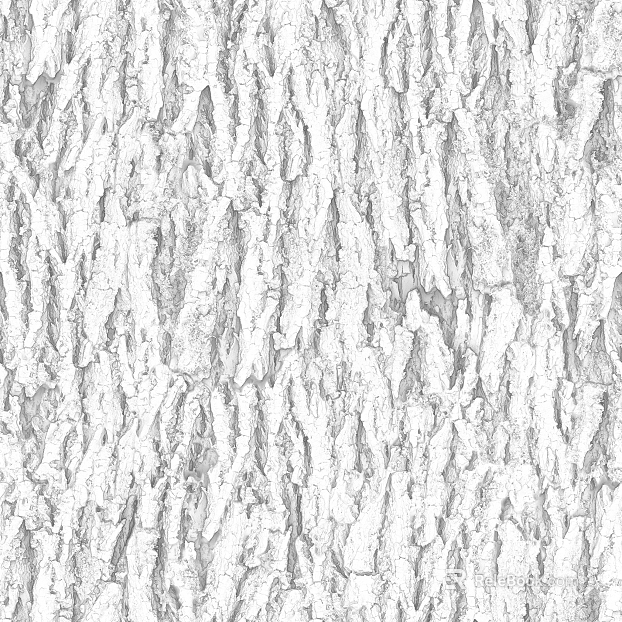 Black and White Bump texture