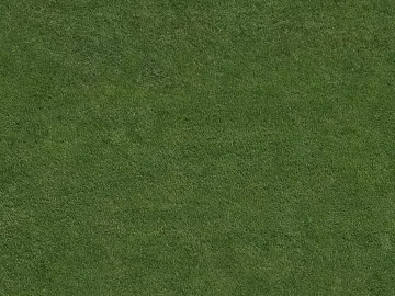 Turf texture (ID:ffach742436)