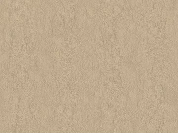 fine grain leather texture (ID:ffach064256)