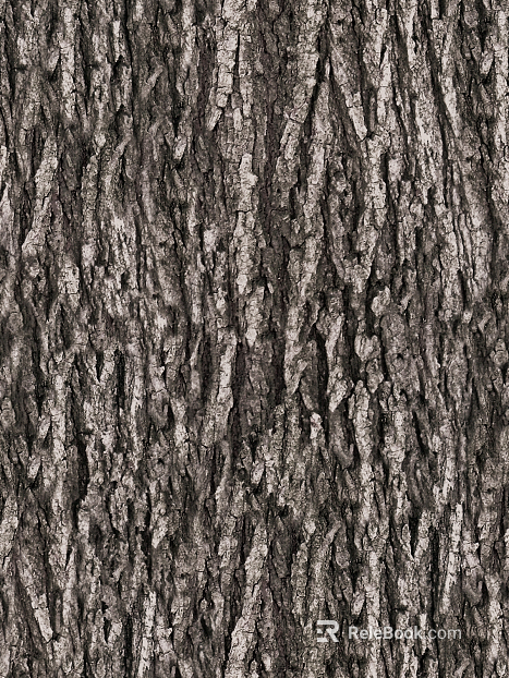 bark texture