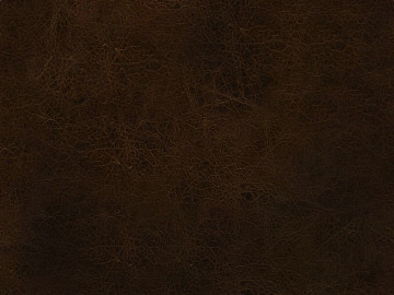 Coarse-grain leather texture (ID:ffagg48630)