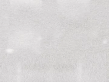 Plain pattern carpet 3d model