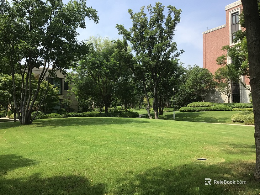 Residential Exterior texture