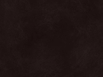 fine grain leather texture (ID:ffagg02167)