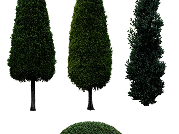 Plants texture (ID:ffabg97272)