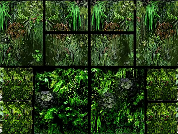Plant wall texture (ID:ffaeg51598)