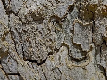 Rock texture (ID:ffabg63640)