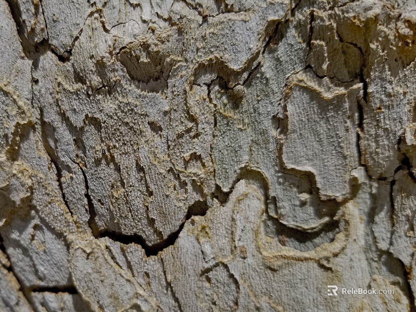 Rock texture