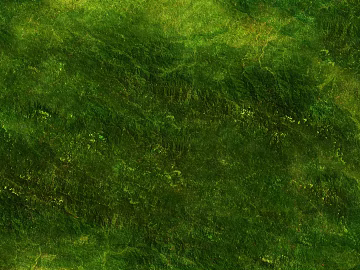 Rock texture (ID:ffabf4032)