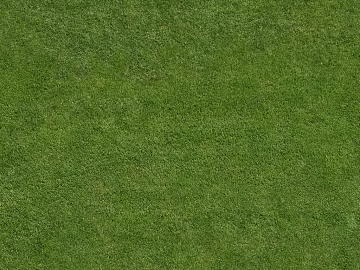 Green Turf Courtyard Ground texture (ID:ffaeh472582)