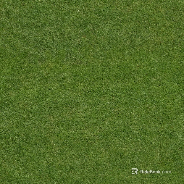 Green Turf Courtyard Ground texture