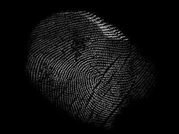 Fingerprint texture (ID:ffagg14374)