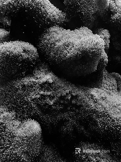 black and white painting texture