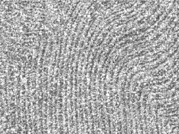 Coarse carpet texture (ID:ffajg45017)
