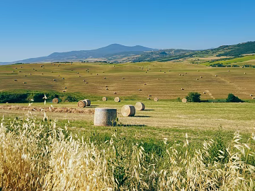 Outdoor scenery exterior texture (ID:ffajh381477)