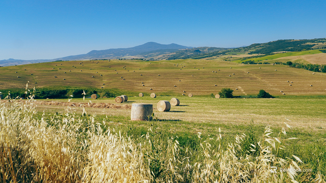 Outdoor scenery exterior texture