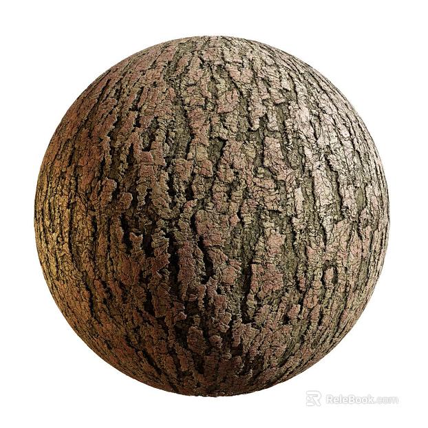 East Asian Bark PBR texture
