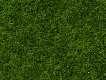 moss texture (ID:ffajg28149)